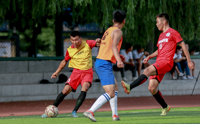 往往会被 往往会被